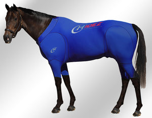 Hidez Equine Active Suit Blue