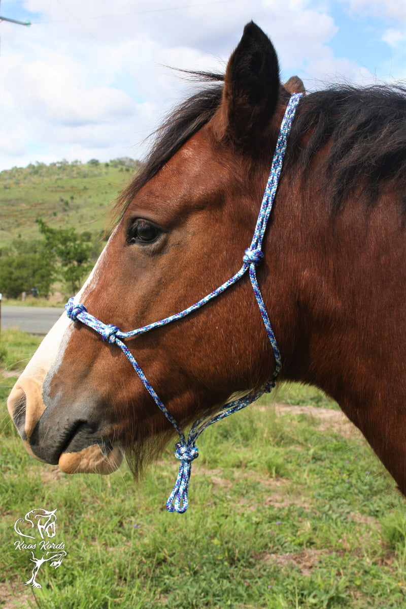 horsemanship training halter