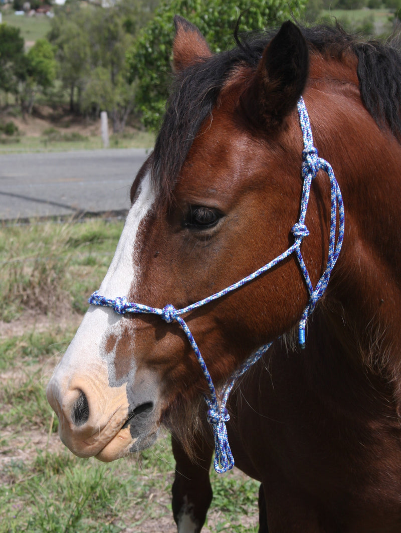 WH Knotted Rope Halter With Reins