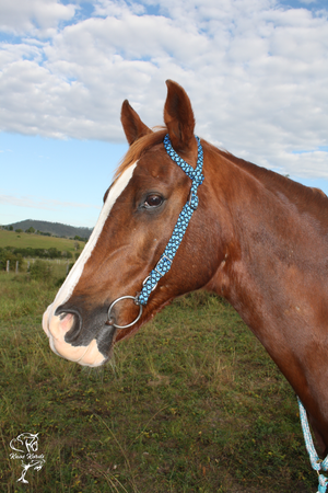 One ear bridle