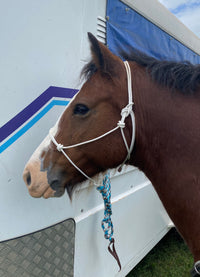 stiff horse halter